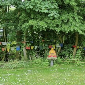 Een Magic Mantra Weekend Fryslân in een tuin omgeven door bomen.