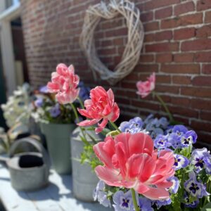 Tulpen in potten op een tafel naast een bakstenen muur, die de levendige charme van de magische tulpenvelden van Magic Mantra Weekend Fryslân laten zien.